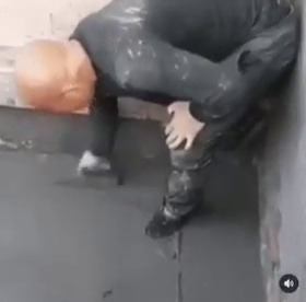 zomema2020:1er momento zen del día - - _________________ - La fuerza de la gravedad no se ve afectada por el coronavirus.