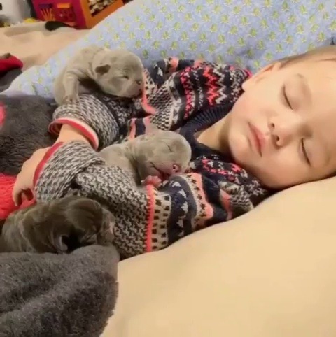 babyanimalgifs:  This is so pure omg