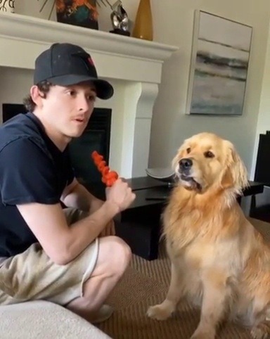animalsnaps: When older bro turns head suddenly, so does little bro  (Source) 