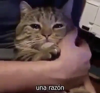 marrbukowski:  Me encantahhh
