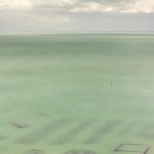 hdrskies Time lapse de marée descendante révélant les parcs à huîtres de Cancale 🌊En haut à gauche le Mont Saint Michel ✨La...
