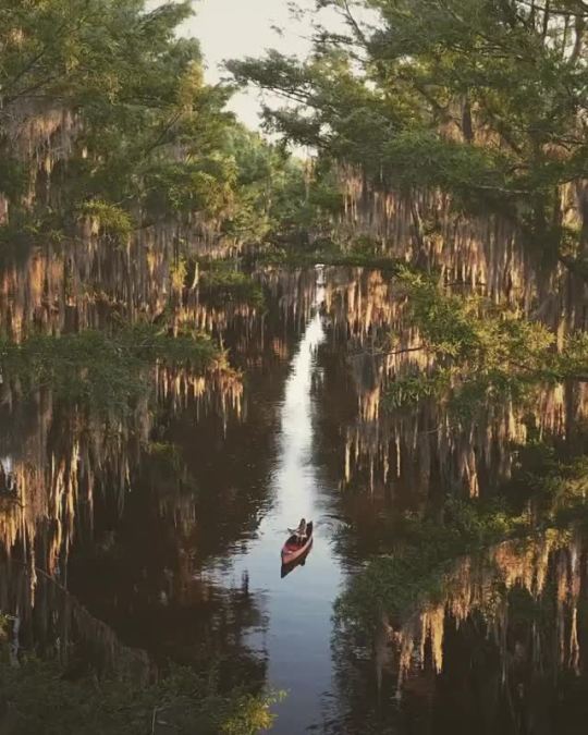 Amazing view of a marsh/wetland on the border between Texas and Mexico. One wildlife refuge like this spot is being partially...