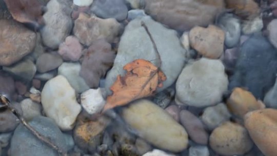 Sounds of the Mountains: (c) video by riverwindphotography, July 2020