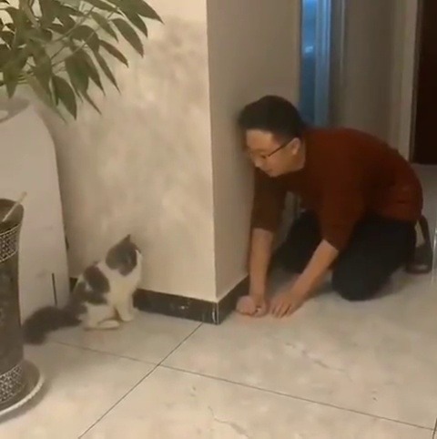justcatposts: Omg 😍😍😍  from @优雅的颓废 