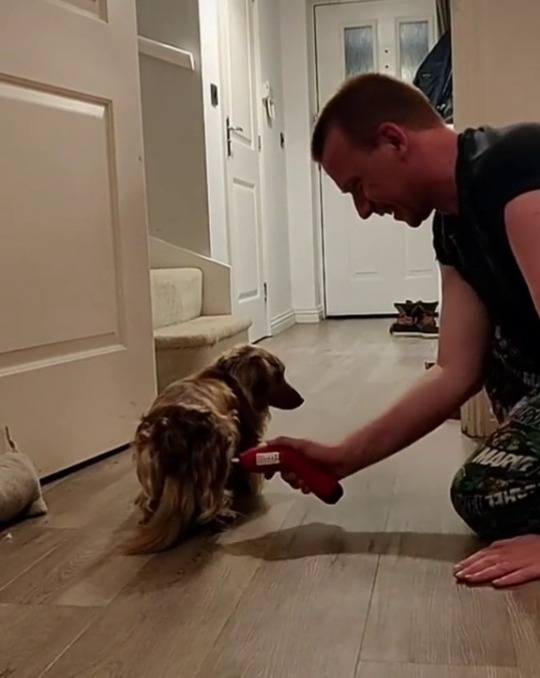 babyanimalgifs:  Doggo pit stop. (via)