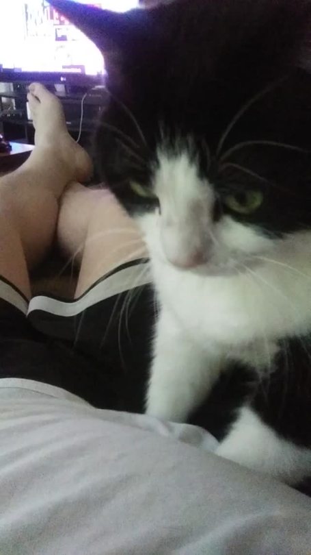 As if I'm not squishy enough already (via)