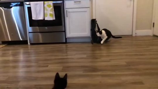 That takedown (via)