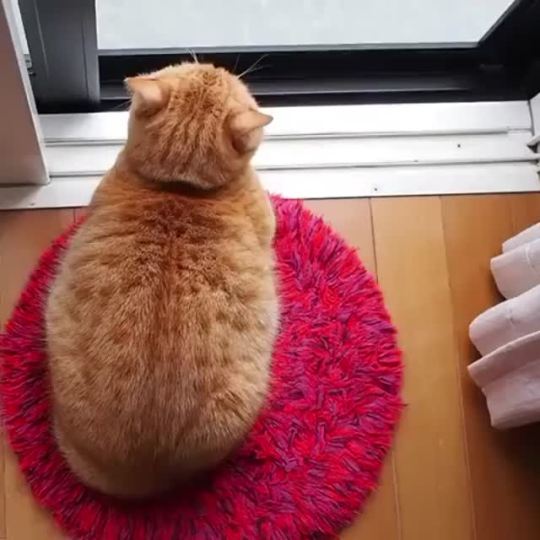 Can I sit next to you? (via)