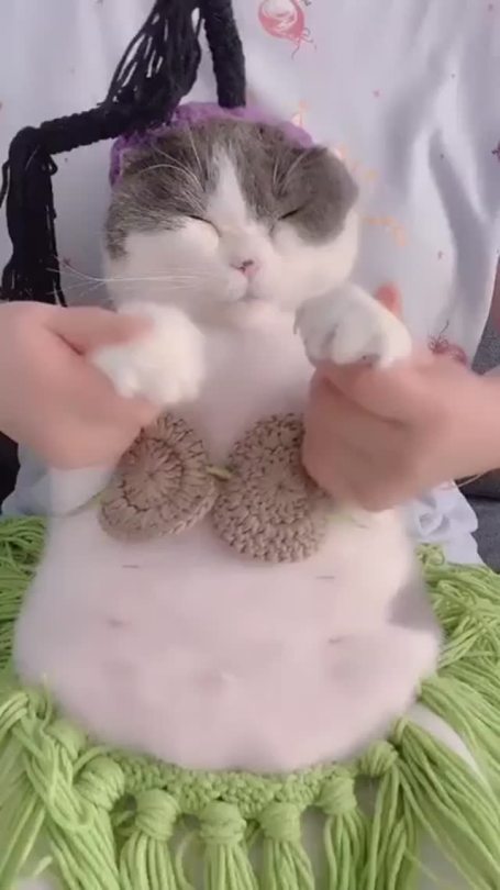 Cutest belly dance i've ever seen (via)