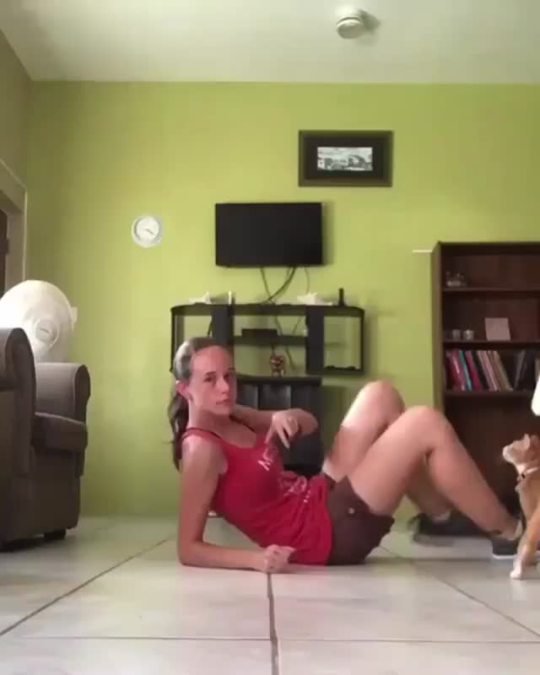 A treadmill for a kitty (via)