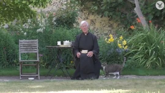 "Cat steals some milk during Dean of Canterbury Cathedral's morning sermon" (Source)