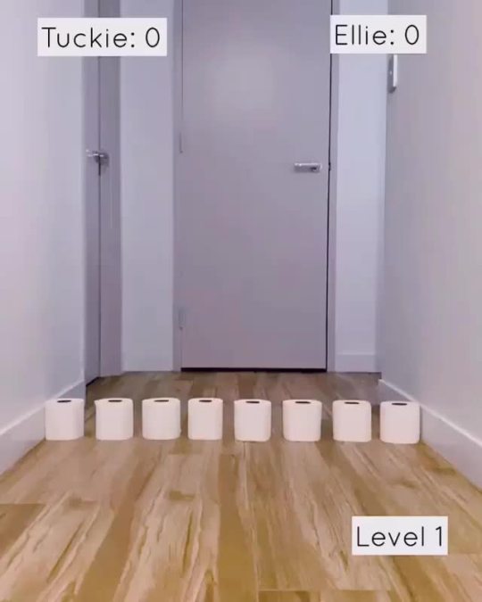Tuckie and Ellie’s Toilet Paper Challenge 😆🤪 (Source)