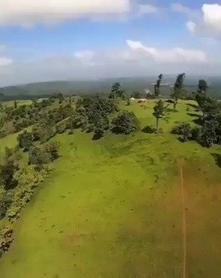 jewishpangolin: butter-pizza:   yeahiwasintheshit:  blondebrainpower:  Attack…   What dimension is that bird coming from  I think the drone has multiple panoramic cameras, meaning the eagle literally figured out where its blind spot was most likely