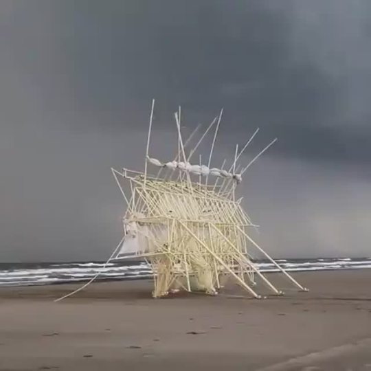 These ‘Beach Animals’ were created by Theo Jansen as a fusion of art and engineering. The kinetic structures walk on their own...