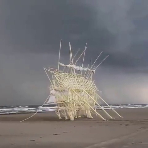 jaubaius:  These ‘Beach Animals’ were created by Theo Jansen as a fusion of art and engineering. The kinetic structures walk on their own and get all their energy from the wind.   
