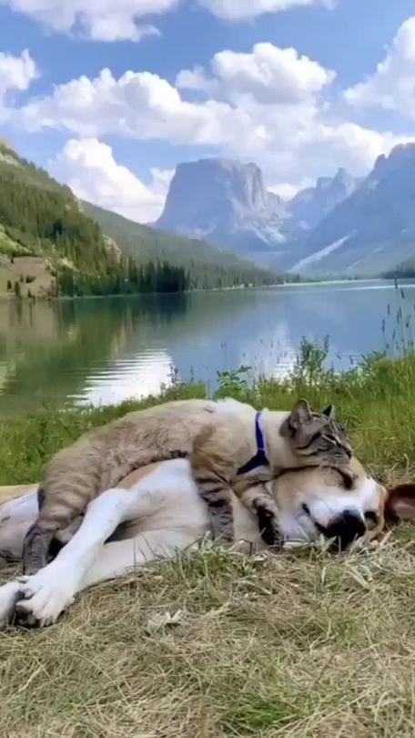 The view is better with you. (via henrythecoloradodog)