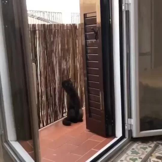When you hear the neighbors fighting.