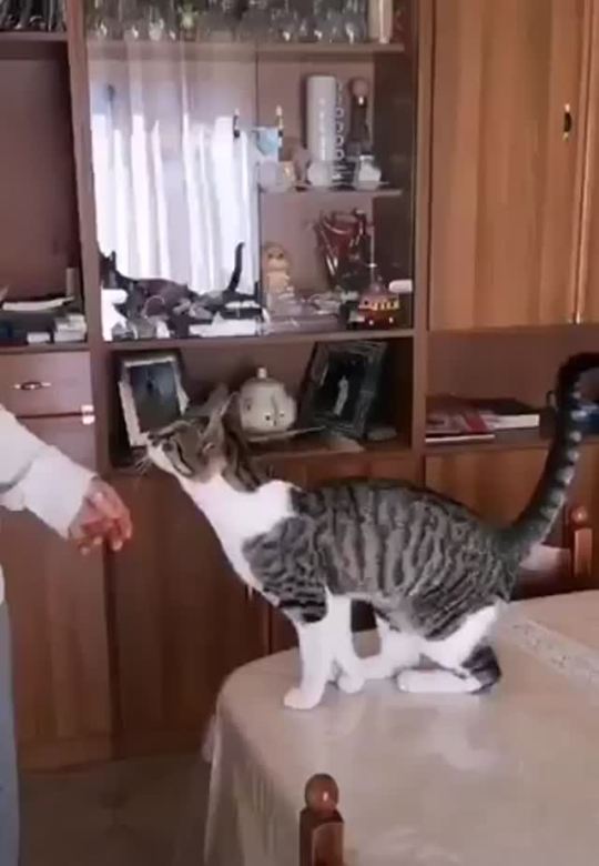 “I love you.”