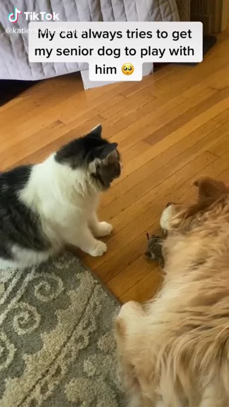 “Play with me” (via katieelizabethkrup)