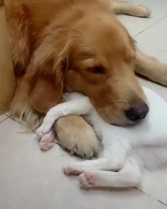 Best buds.