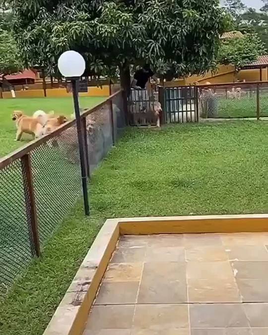 A pool full of gold (via)
