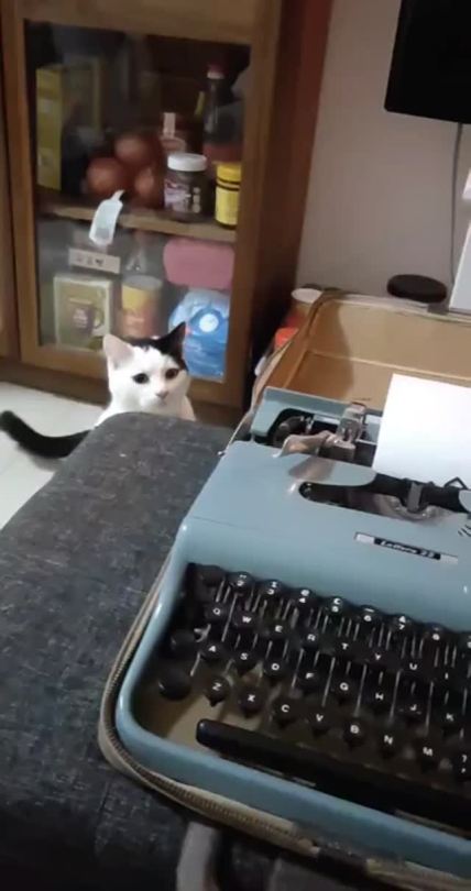 “I bought a typewriter today and Ben hates it“ (Source)