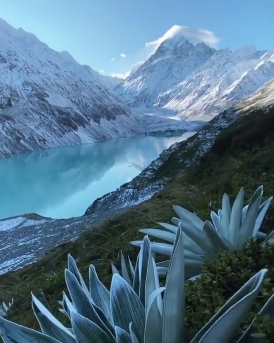 quiet-nymph:    William_patino on Instagram   