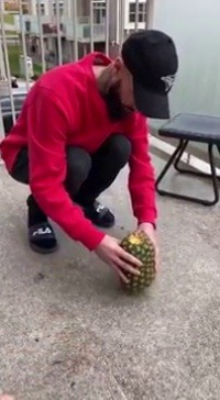 aqueerkettleofish:  izandai:  catchymemes: Opening up a pineapple I was sure the