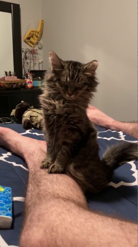 squidthethicc: fluffygif:   Couldn’t stay awake any longer.   Me after a shift that’s more than 2 hours  