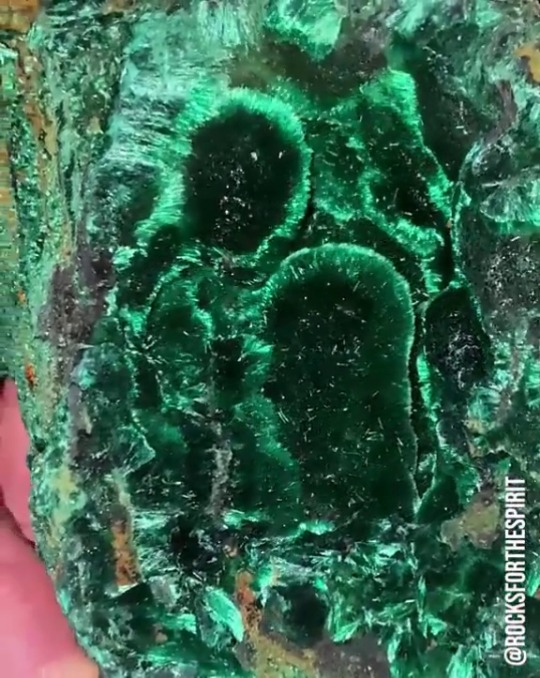 thisheavybody:  blondebrainpower:  Malachite    I love the rocks that look fuzzy!!!!!!!!! But also do you know how fucking PRICEY malachite is? I dont even wanna know the retail price of this bad boiiiiii but I def wanna touch it