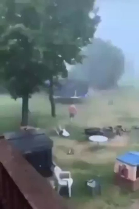 Trampoline turns out to be alien ship