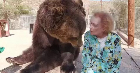 blondebrainpower:Betty White and a Bear  porn pictures