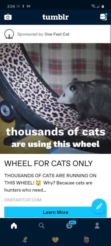 british-men-can-get-it:  stressed-wizard:Tumblr PLEASE let us reblog ads i beg you, because this is the funniest shit I’ve seen pop up yet   Please someone tell them what a cat looks like￼