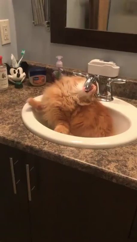 Thirsty boy (via)