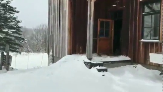 sugarforsalt:findus: “Please enjoy these ducks changing their minds.”    Dick King-Smith HQ@ Please enjoy all the nope. 