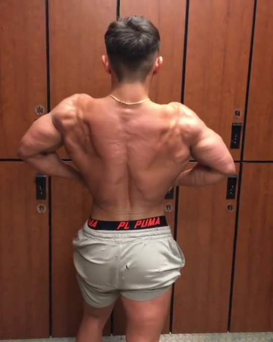 steroidslut:Progress