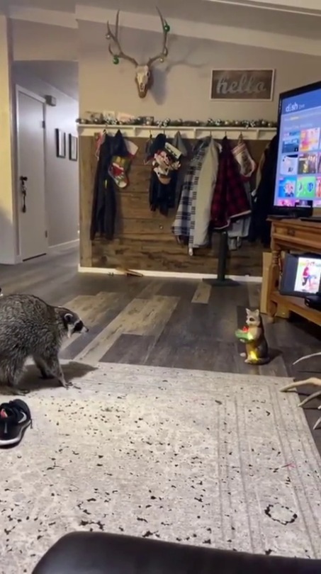 Untitled — “You come into my house…?”
