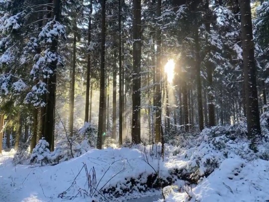 annieaceofhearts:a short video I took on a walk last week because the atmosphere was just breathtaking