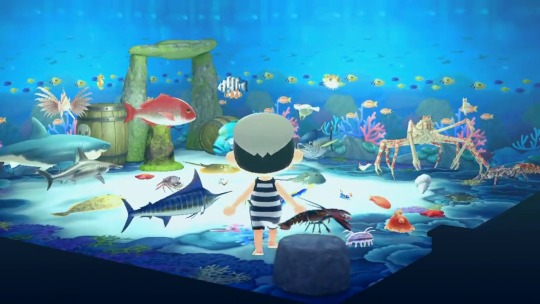 doubutsu-no-mori:  I got rid of their tanks and made an ocean aquarium room  🐟🦈