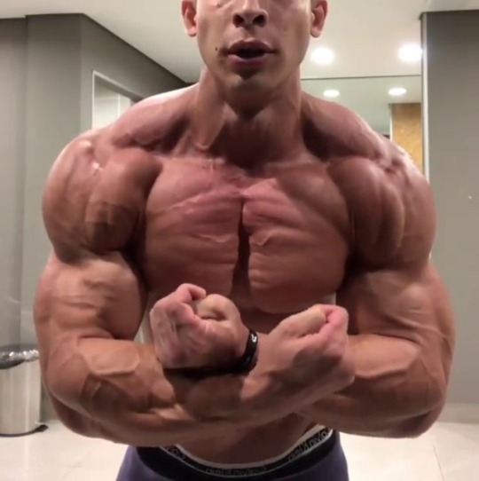 alphalusts:dumbjockbrotn-blog:  andrewthetrainer:  steroidslut:Work in progress   Incredible Physique!    Feelin tha gaynz bruh    Mmmm boy you know this is all you’re meant to be