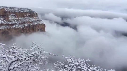 yocalio:So Arizona just got a little snow lol. Check out the Grand Canyon.