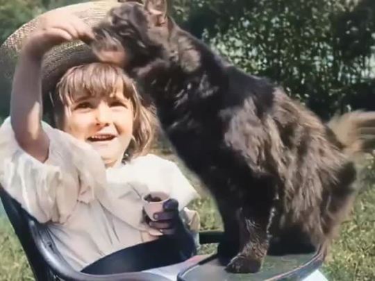 ttohrus:memewhore:First cat video ever?  1899, colorized & speed corrected.I am always blown away by this. Like. This little girl was alive and laughing and wearing her little hat and in the sunshine over 100 years ago. And her cat was eating little