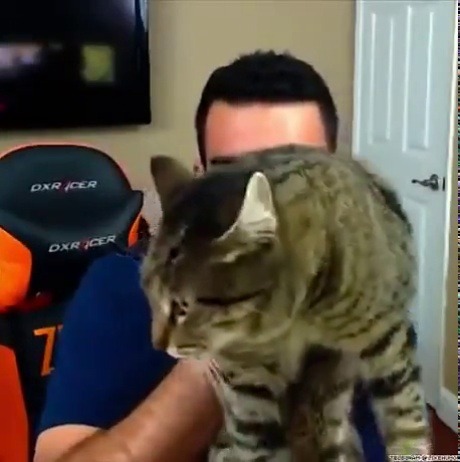 takesabeating:  Sounds like the cat has more sense than you do bub