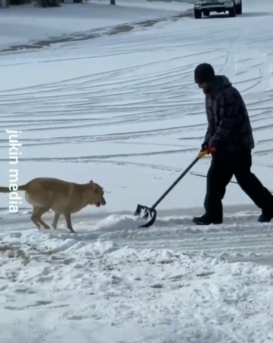 everythingfox:  (via)