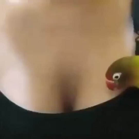 ayobalimi: