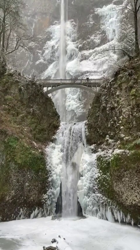 fluffygif:    A wonderful sight