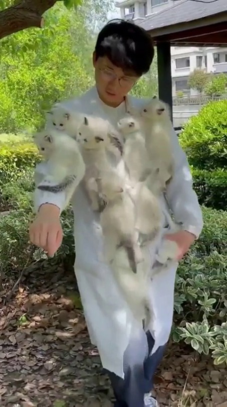 everythingfox:Mission impawsible(via)