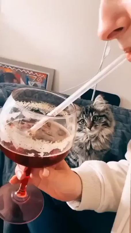 catasters: