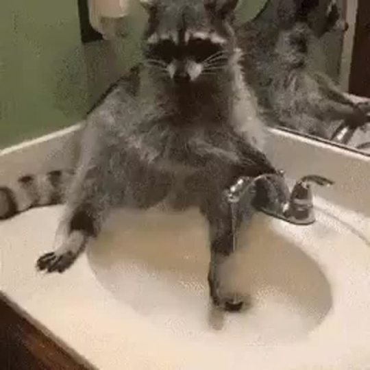 rebel-heart-gypsysoul:Don’t forget to wash your hands!
