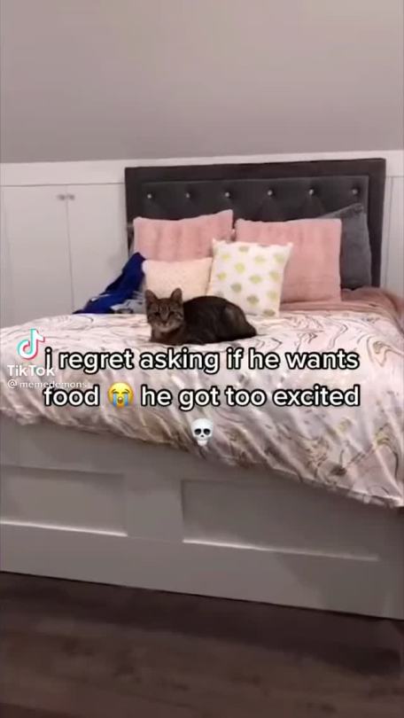 tiktoks-for-tired-tots:
